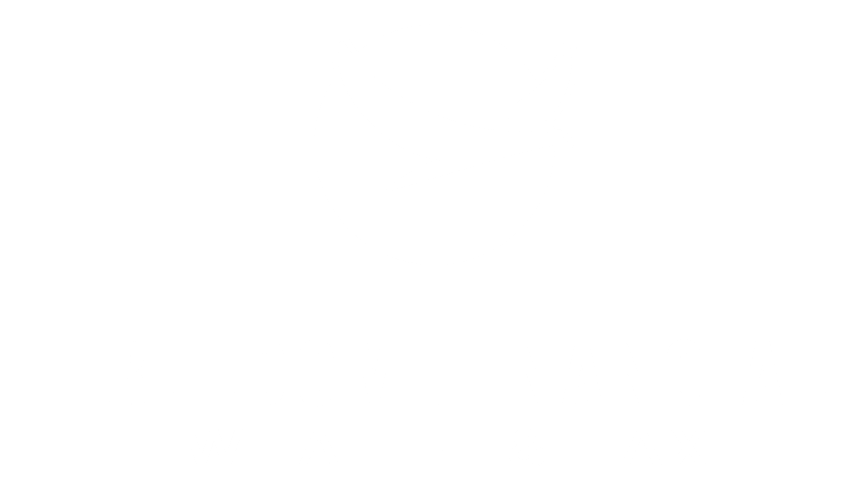 Freedom Financial Wealth & Tax